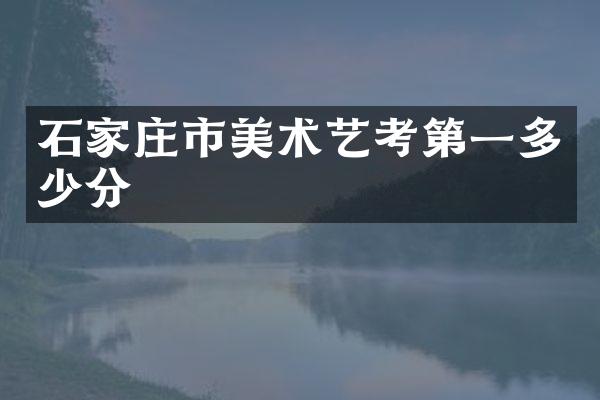 石家庄市美术艺考第一多少分