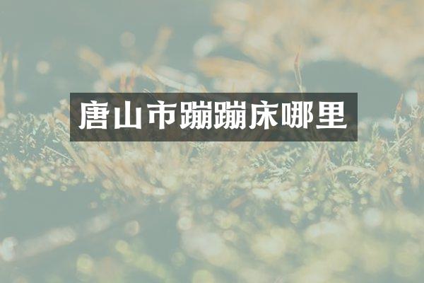 唐山市蹦蹦床哪里