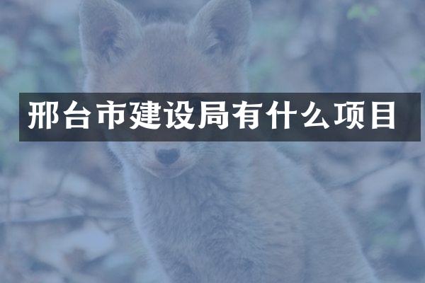 邢台市建设局有什么项目