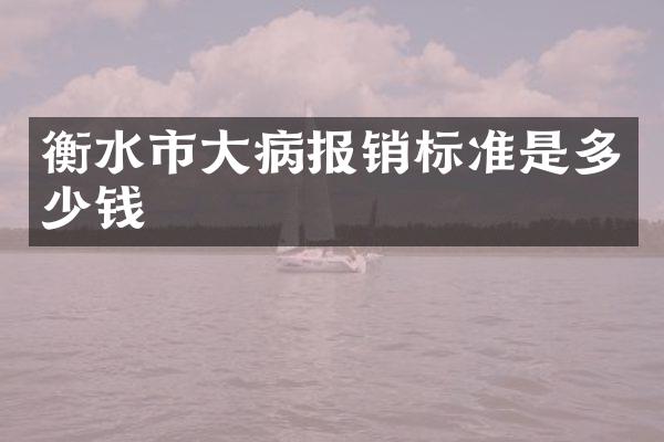 衡水市大病报销标准是多少钱