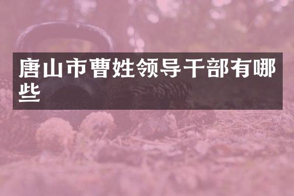 唐山市曹姓领导干部有哪些
