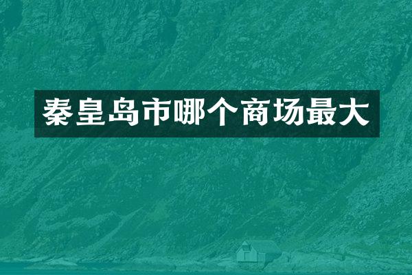 秦皇岛市哪个商场最大
