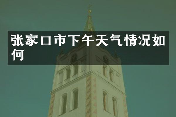 张家口市下午天气情况如何
