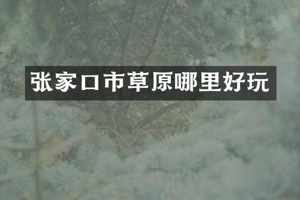 张家口市草原哪里好玩