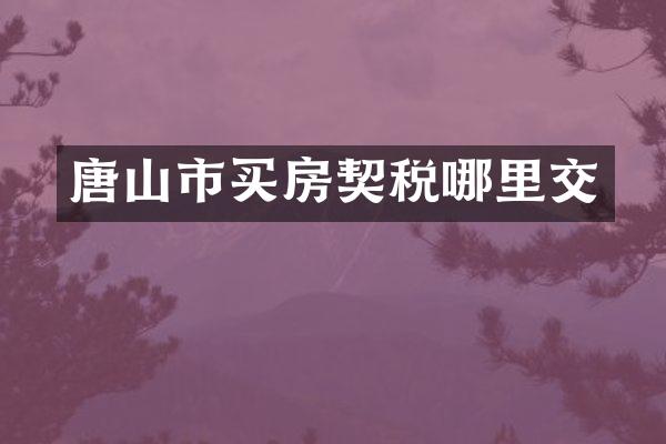 唐山市买房契税哪里交