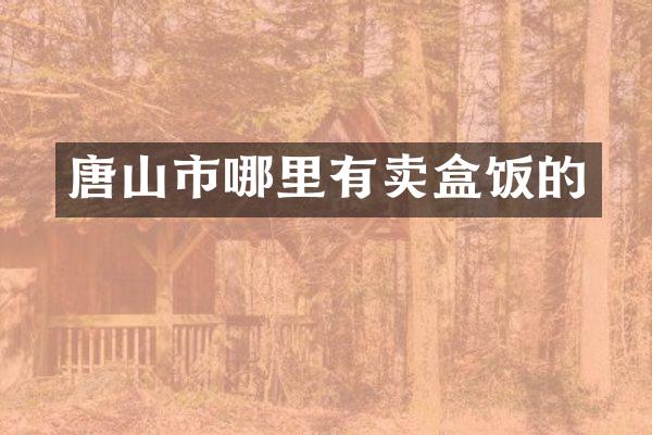 唐山市哪里有卖盒饭的