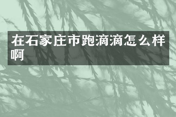 在石家庄市跑滴滴怎么样啊