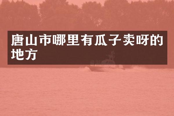 唐山市哪里有瓜子卖呀的地方