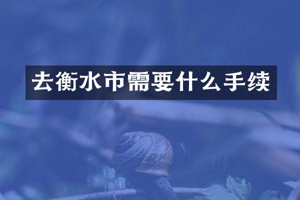 去衡水市需要什么手续