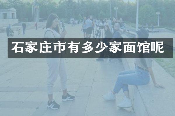 石家庄市有多少家面馆呢