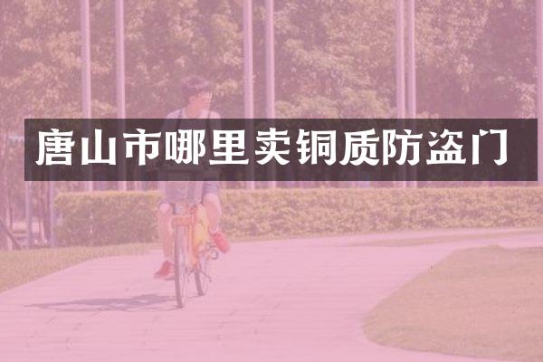 唐山市哪里卖铜质防盗门
