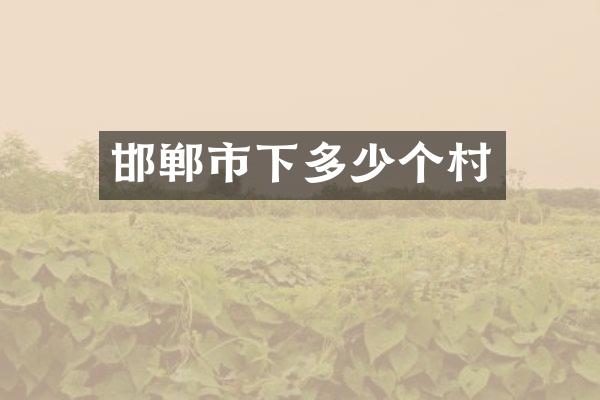 邯郸市下多少个村