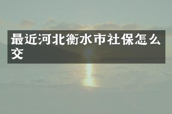 最近河北衡水市社保怎么交
