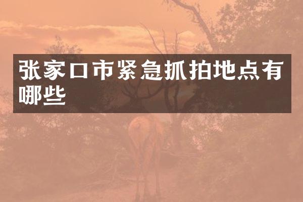 张家口市紧急抓拍地点有哪些
