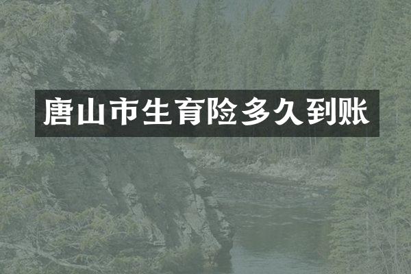唐山市生育险多久到账