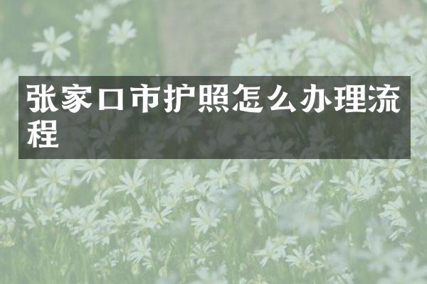 张家口市护照怎么办理流程