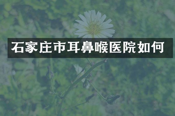 石家庄市耳鼻喉医院如何