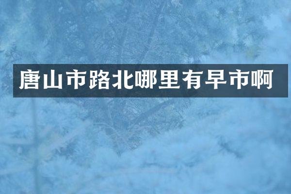 唐山市路北哪里有早市啊