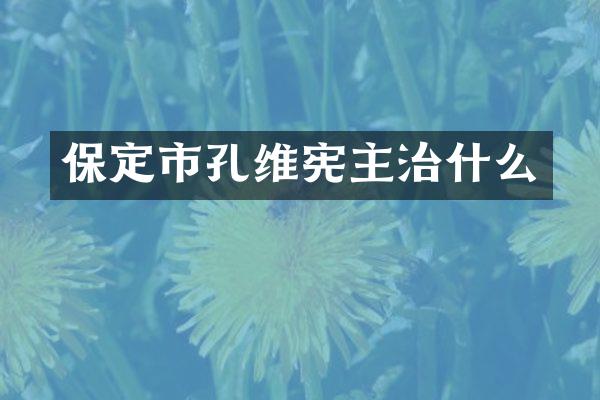 保定市孔维宪主治什么