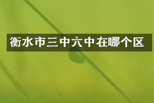 衡水市三中六中在哪个区