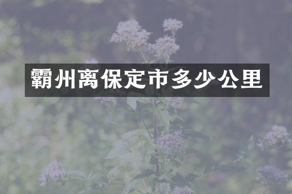 霸州离保定市多少公里
