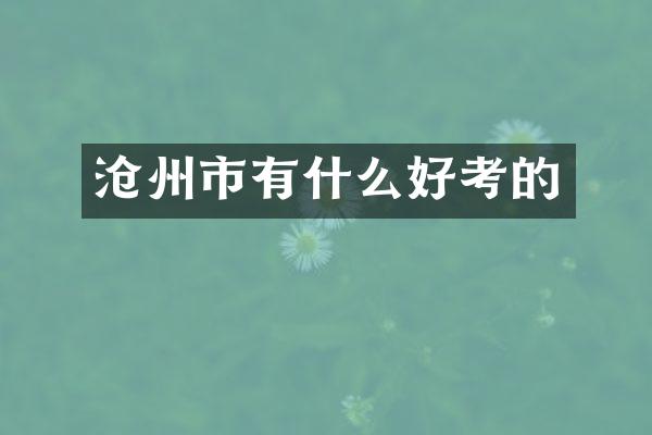 沧州市有什么好考的