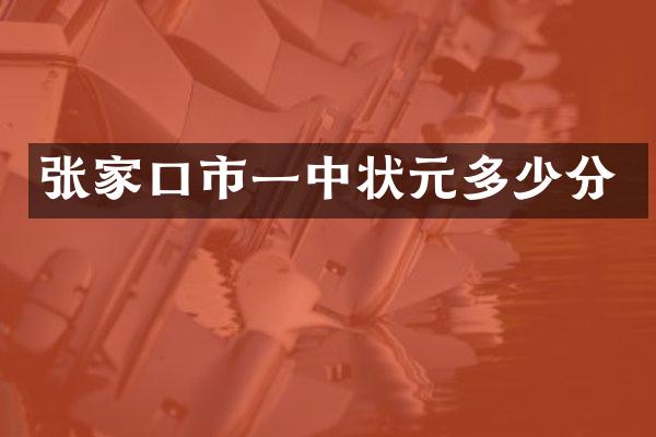 张家口市一中状元多少分