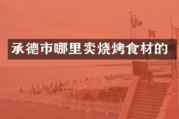 承德市哪里卖烧烤食材的