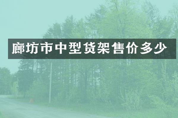 廊坊市中型货架售价多少