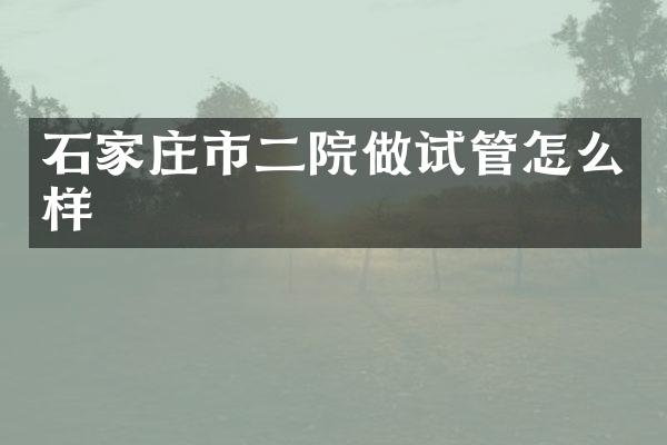 石家庄市二院做试管怎么样