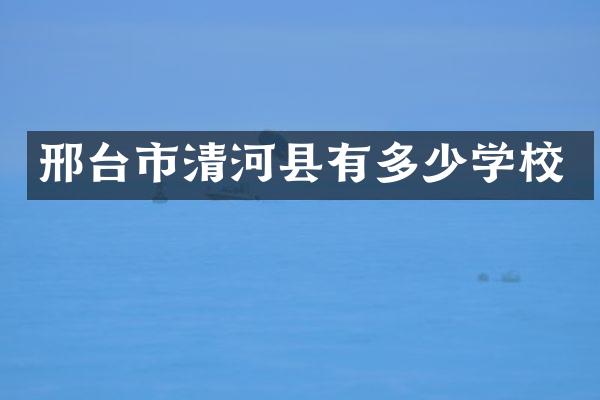 邢台市清河县有多少学校