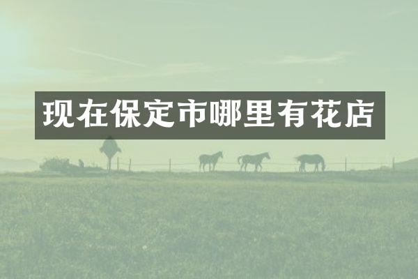 现在保定市哪里有花店