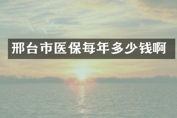 邢台市医保每年多少钱啊