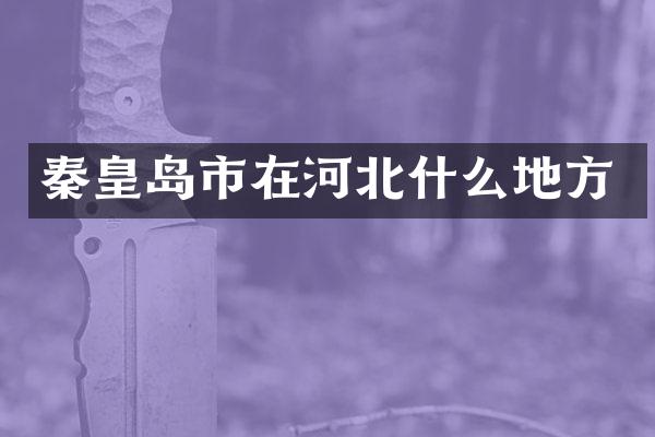 秦皇岛市在河北什么地方