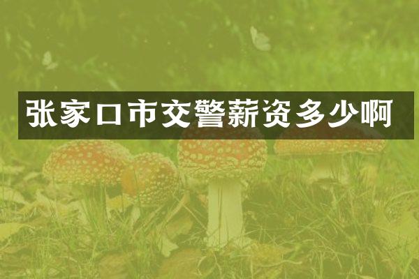 张家口市交警薪资多少啊