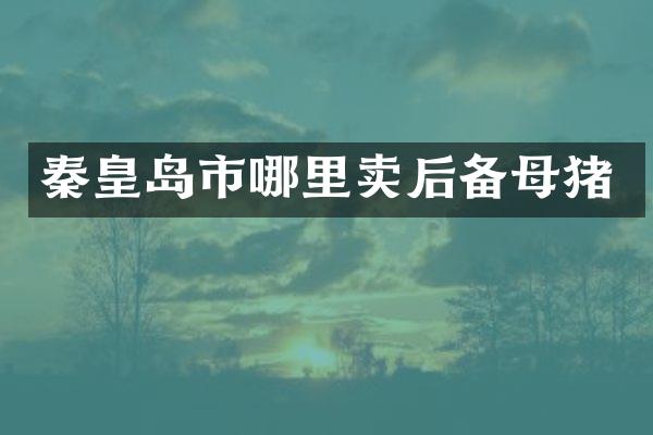 秦皇岛市哪里卖后备母猪