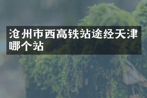 沧州市西高铁站途经天津哪个站
