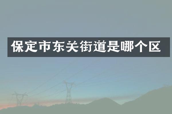 保定市东关街道是哪个区