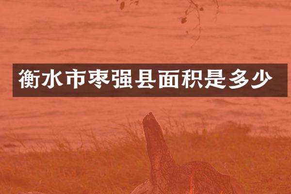 衡水市枣强县面积是多少