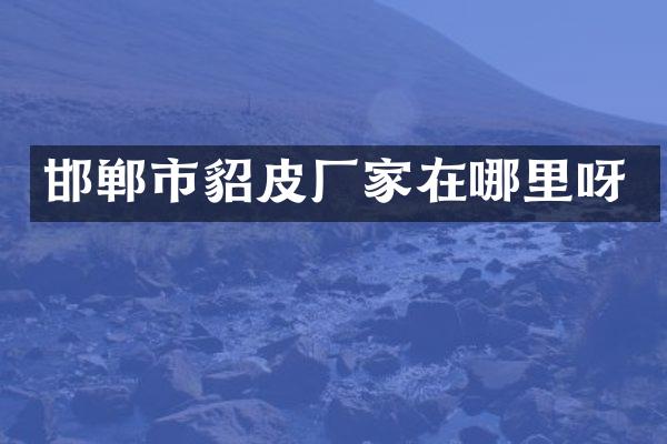 邯郸市貂皮厂家在哪里呀