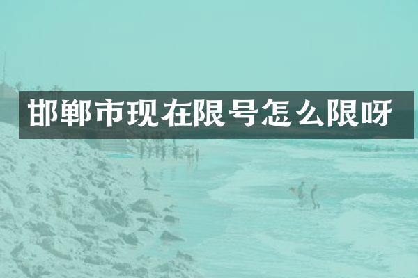 邯郸市现在限号怎么限呀