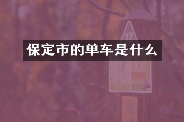 保定市的单车是什么
