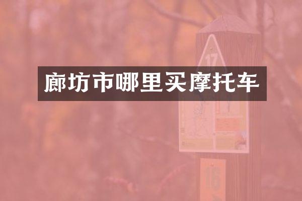 廊坊市哪里买摩托车