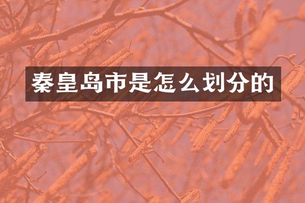 秦皇岛市是怎么划分的