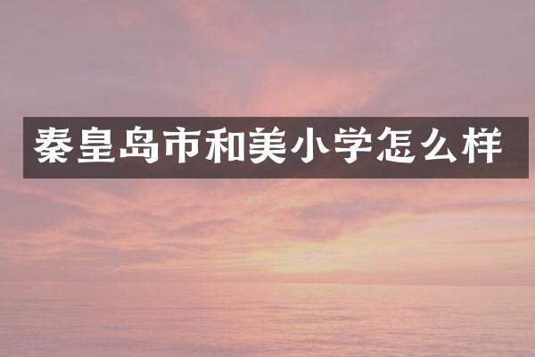 秦皇岛市和美小学怎么样