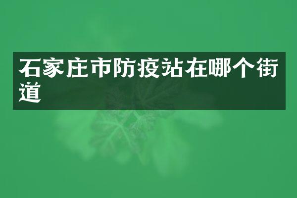石家庄市防疫站在哪个街道