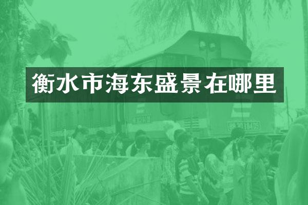 衡水市海东盛景在哪里