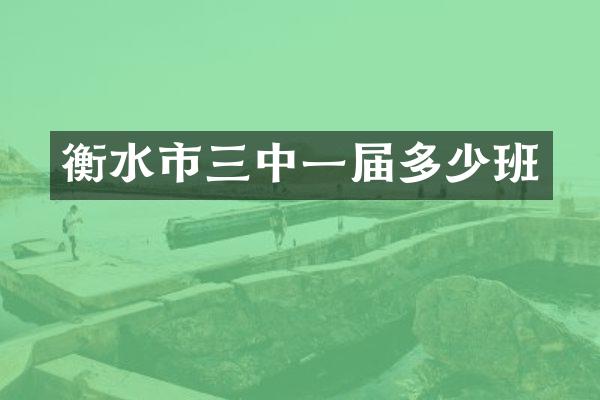 衡水市三中一届多少班