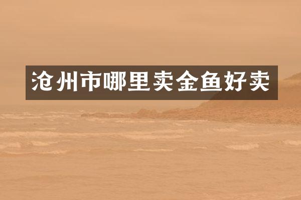 沧州市哪里卖金鱼好卖