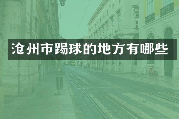 沧州市踢球的地方有哪些